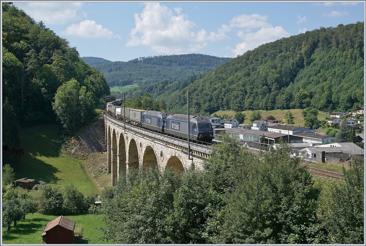 BLS Re 465 with a Cargo Train by Rümlingen (Alte Hauenstein Line).
18.07.2018