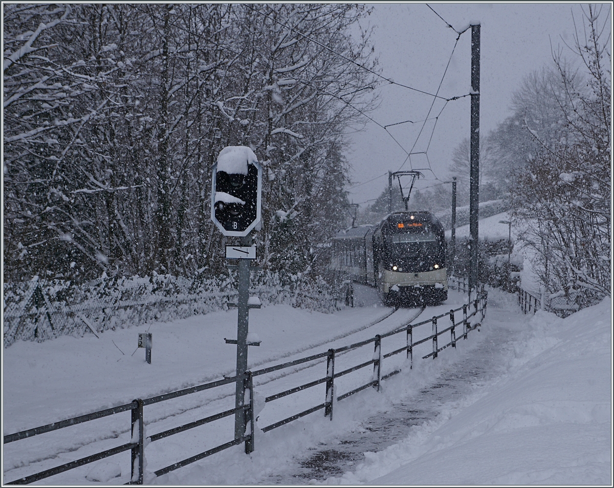 By a heavy snow fall  runs the CEV ABeh 2/6 7501 by Blonay from Vevey to the Les Pleiades. 

25.01.2021
