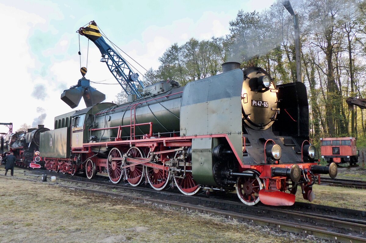 By accident, your correspondent found himself back at a celebration party on the evening of 29 April 2016 at Wolsztyn to celebrate the succesfull restoration in runnimng condition of Pt 47-65, which gets fresh coal here in preparation for the big steam loco parade next day.