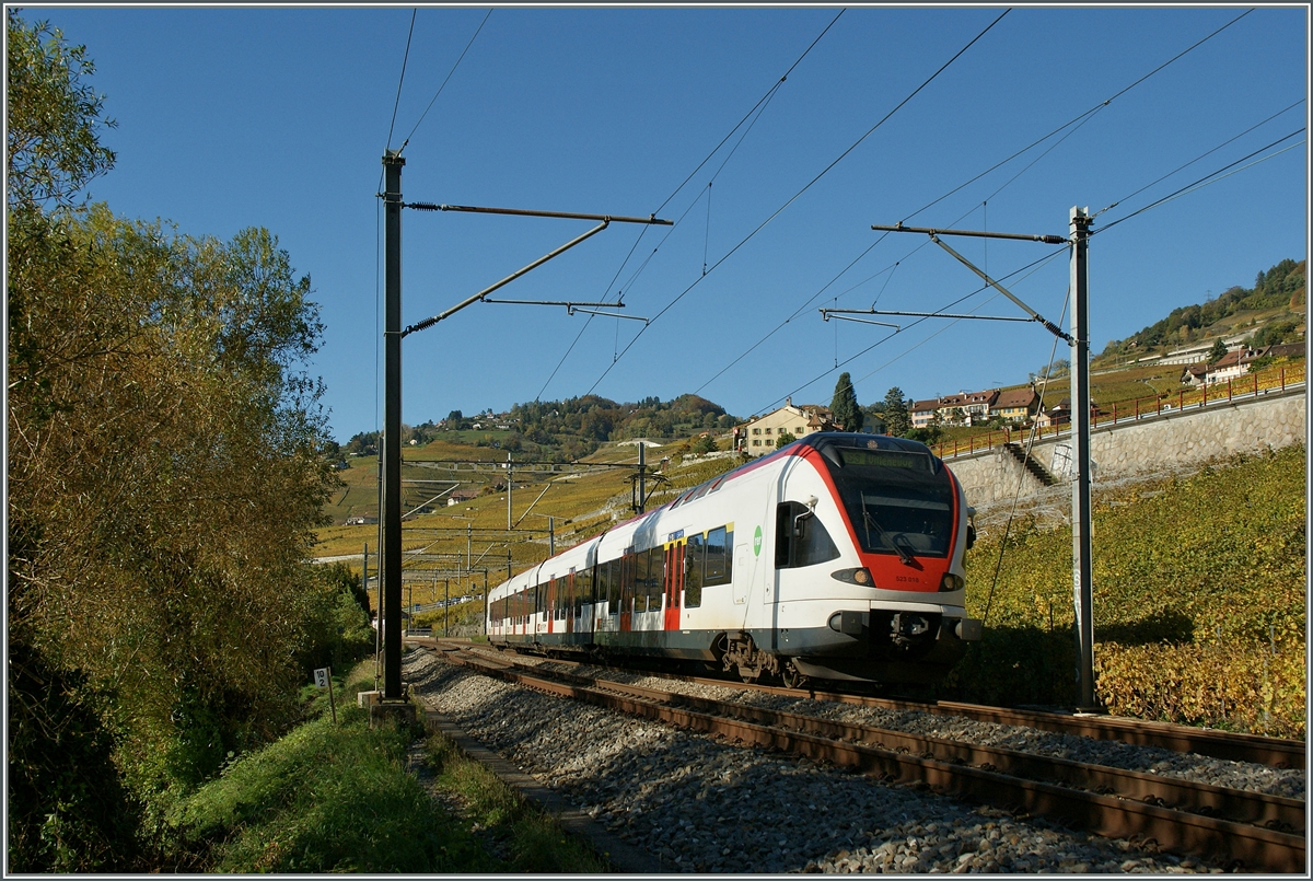 By Epesses ist the  Flirt  523-018 the S3 service to Villeneuve.
28.10.2013