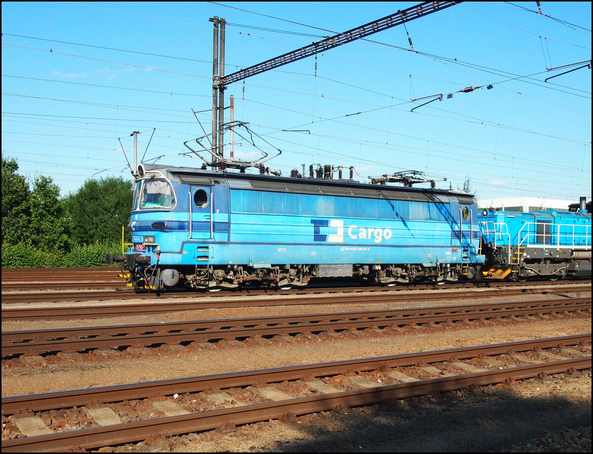 CDC 230 101-8 on 09/11/21 Protivín main station.