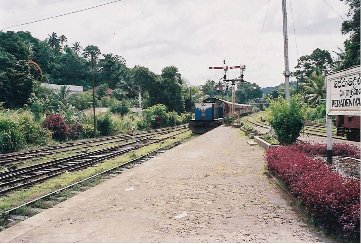 class W3 667 approaching Peradeniya Station