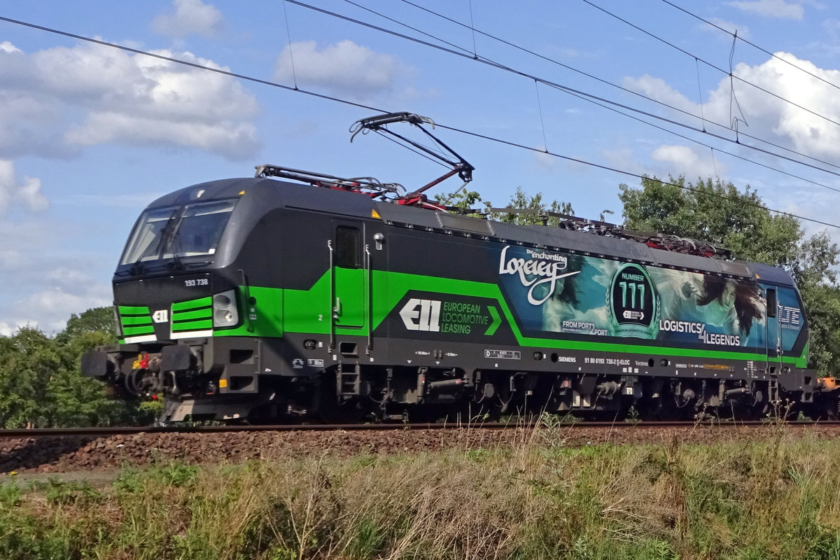 Close up on LTE 193 738 at Tilburg Oude warande on 23 July 2018.