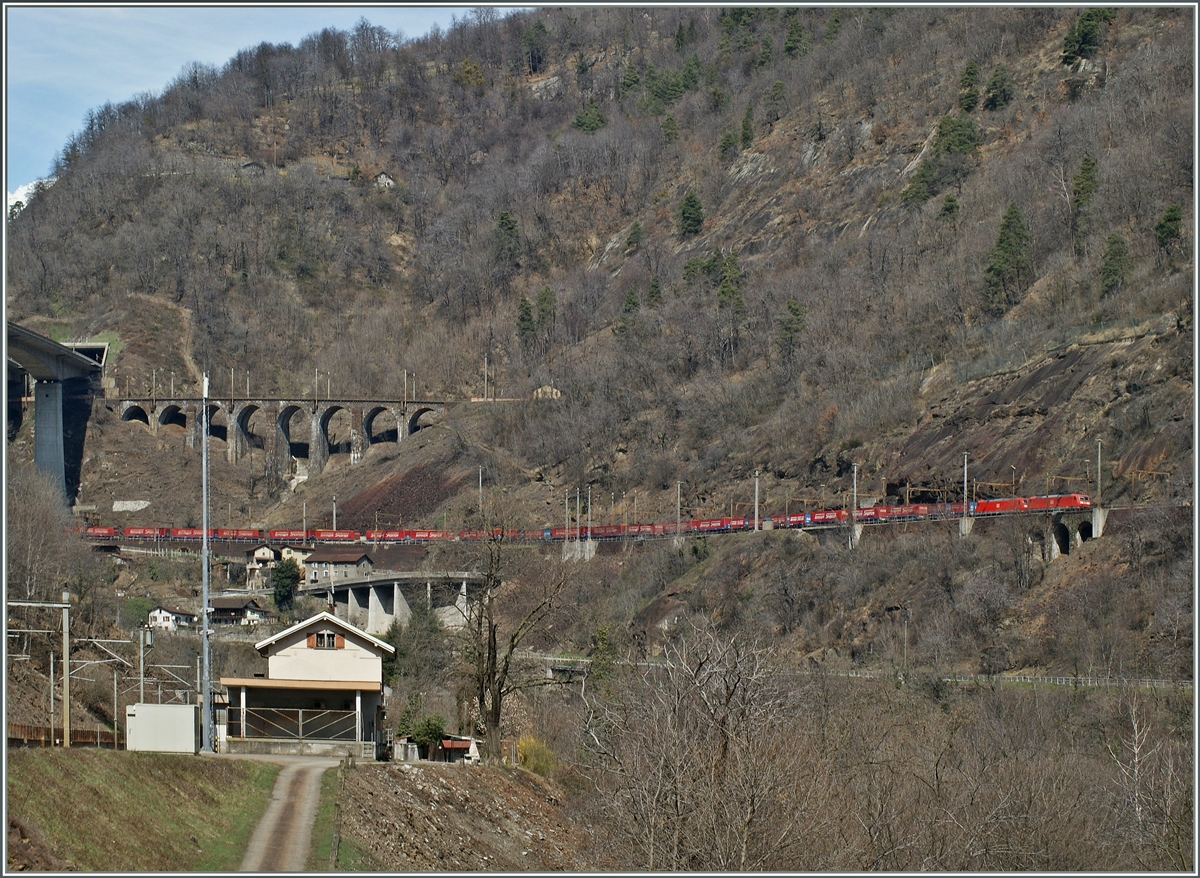 DB 185 wiht the  Winner-train  in the Biascina. 
03.04.2013