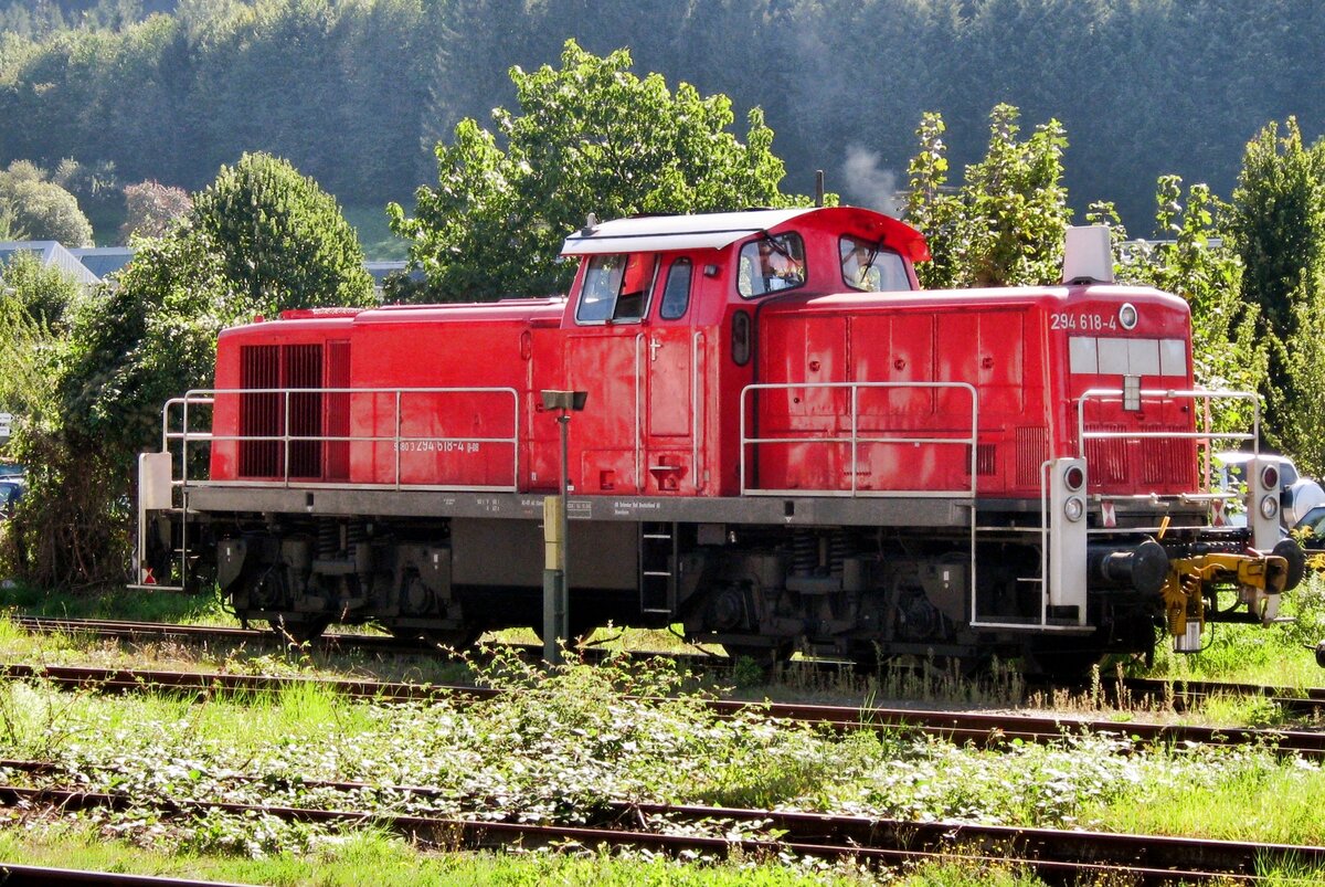 DB 294 618 enjoys the Sun at Hausach on 21 September 2010.