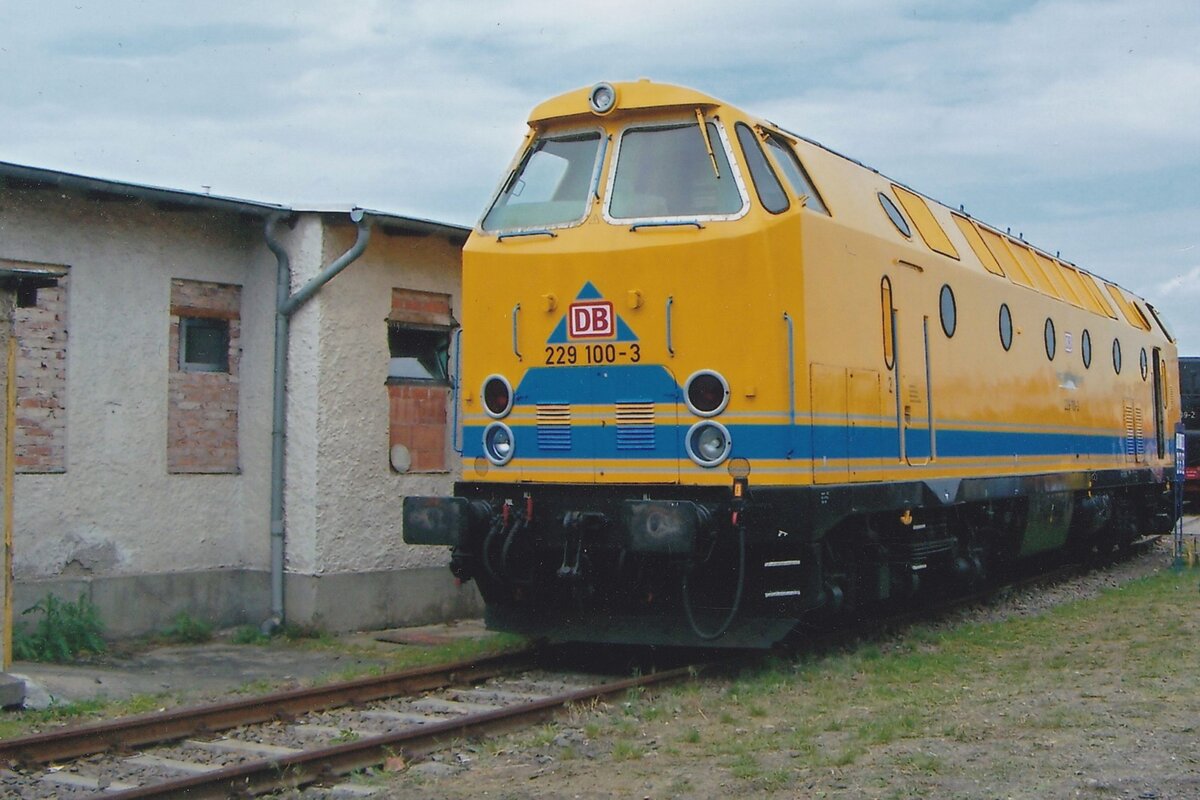 DB Netze 229 100 stands in the Bw Weimar on 30 May 2010 during an Open Weekend of the Thüringer Eisenbahnfreunde.
