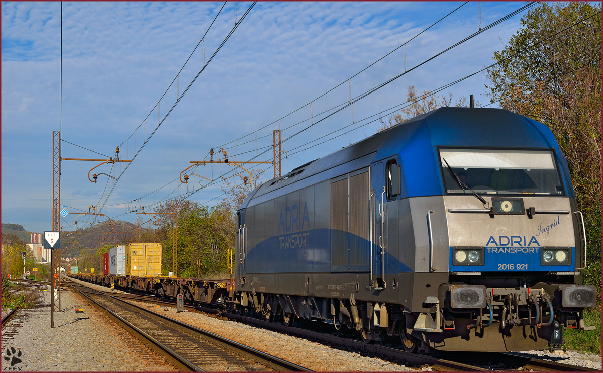 Diesel loc 2016 921 'Ingrid' pull container train through Maribor-Tabor on the way to Koper port.. /7.11.2013