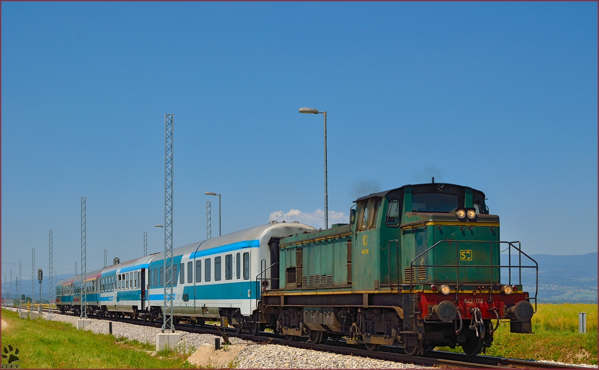 Diesel loc 642-179 is pulling passenger train through Cirkovce-Polje on the way to Ptuj. /10.6.2014