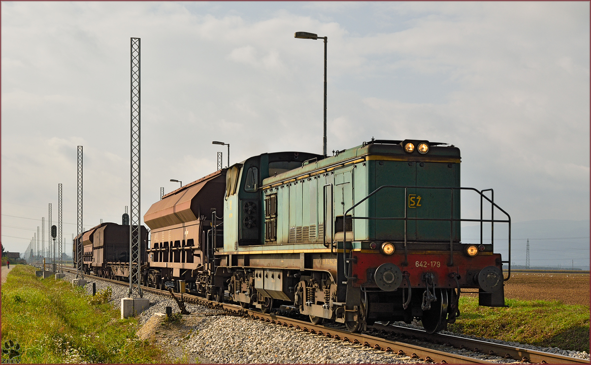 Diesel loc 642-179 pull freight train through Cirkovce-Polje on the way to Ptuj. /2.10.2014