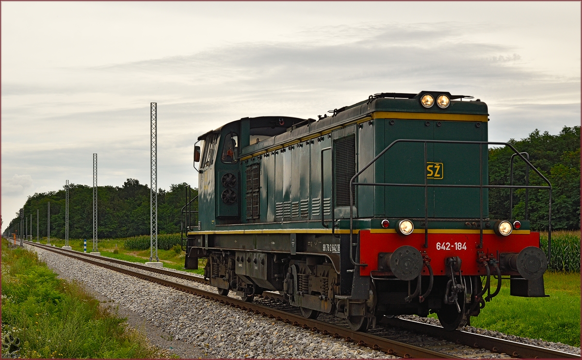 Diesel loc 642-184 run through Cirkovce-Polje on the way to Pragersko. /5.8.2014