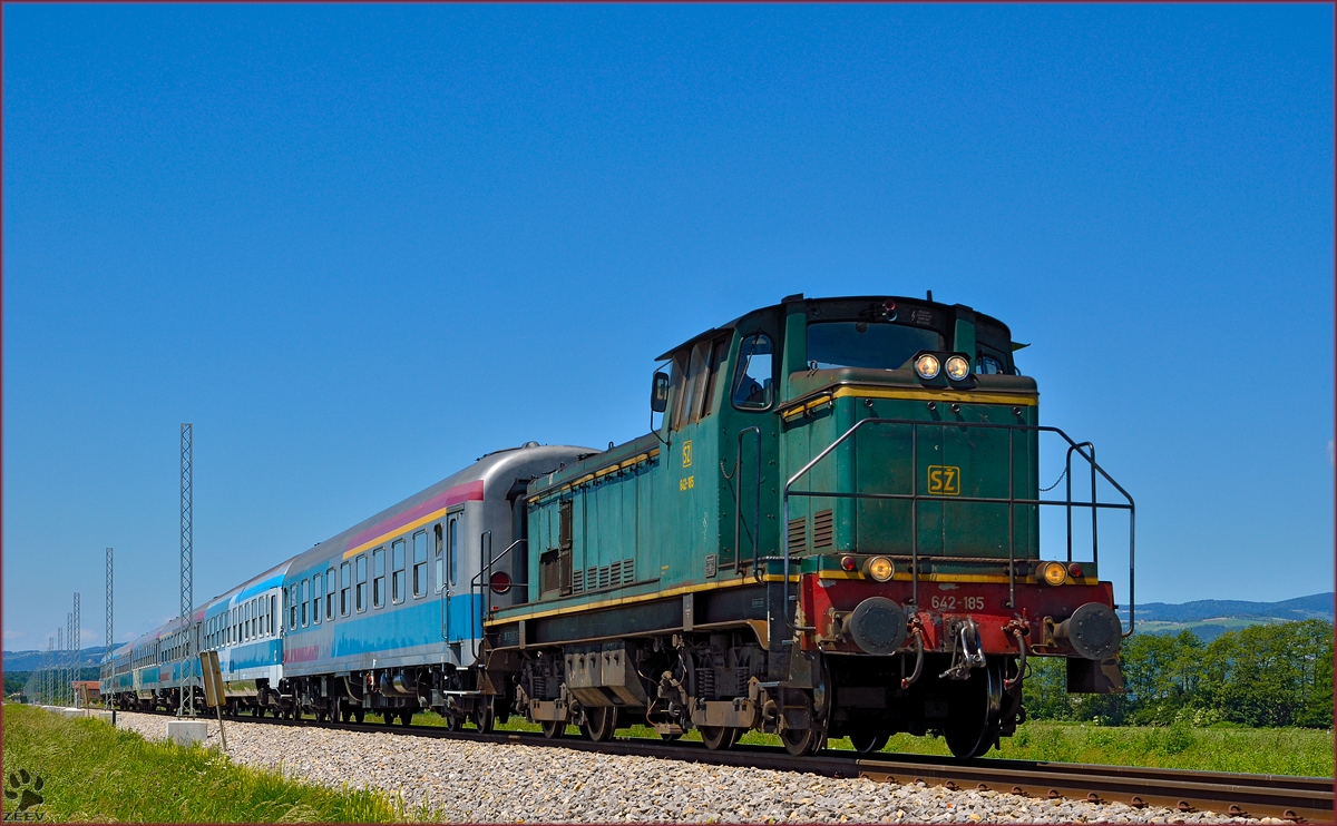 Diesel loc 642-185 pull passenger train through Šikole on the way to Ptuj. /20.5.2014