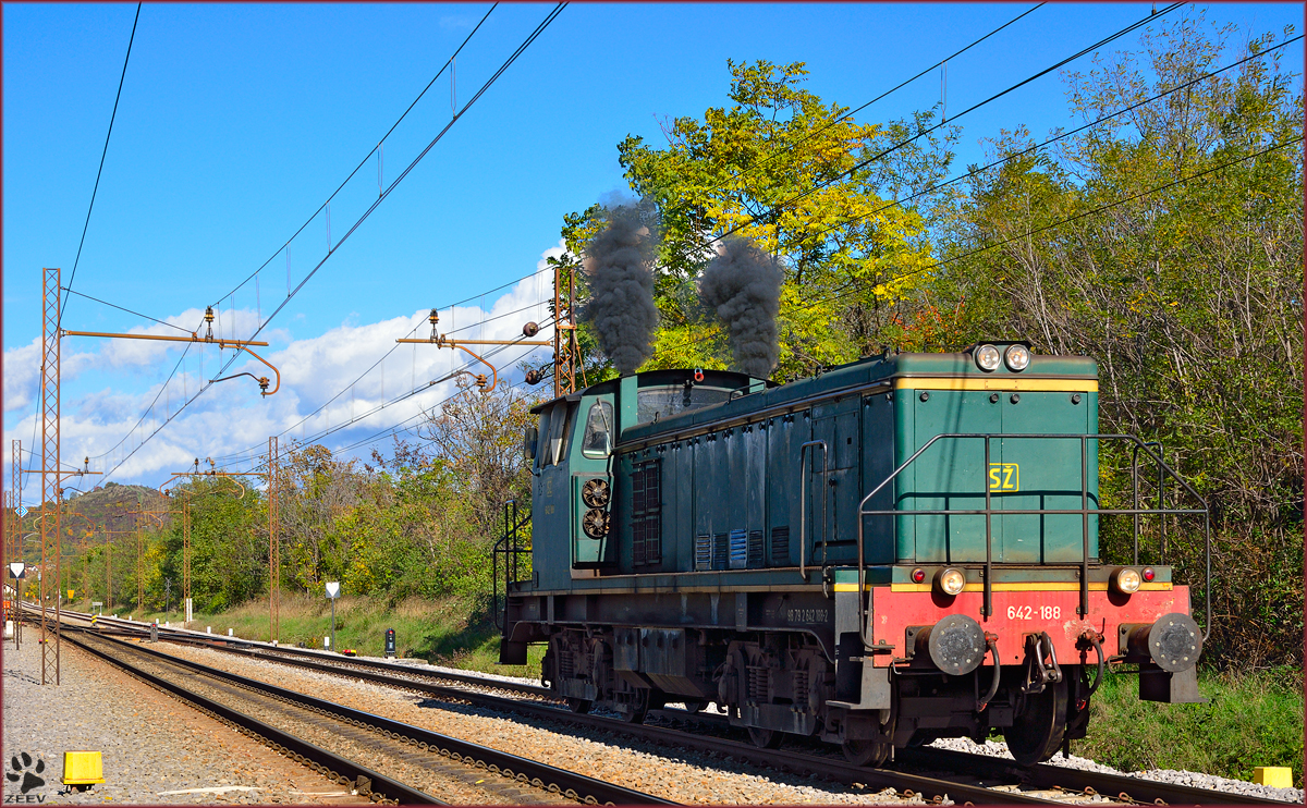 Diesel loc 642-188 is running through Maribor-Tabor on the way to Studenci station. /16.10.2013