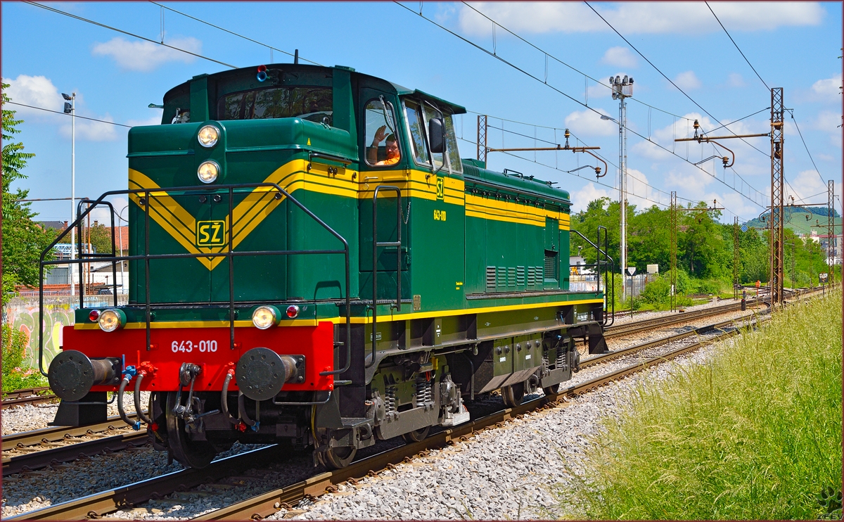 Diesel loc 643-010 is running through Maribor-Tabor on the way to Tezno yard. /26.5.2014