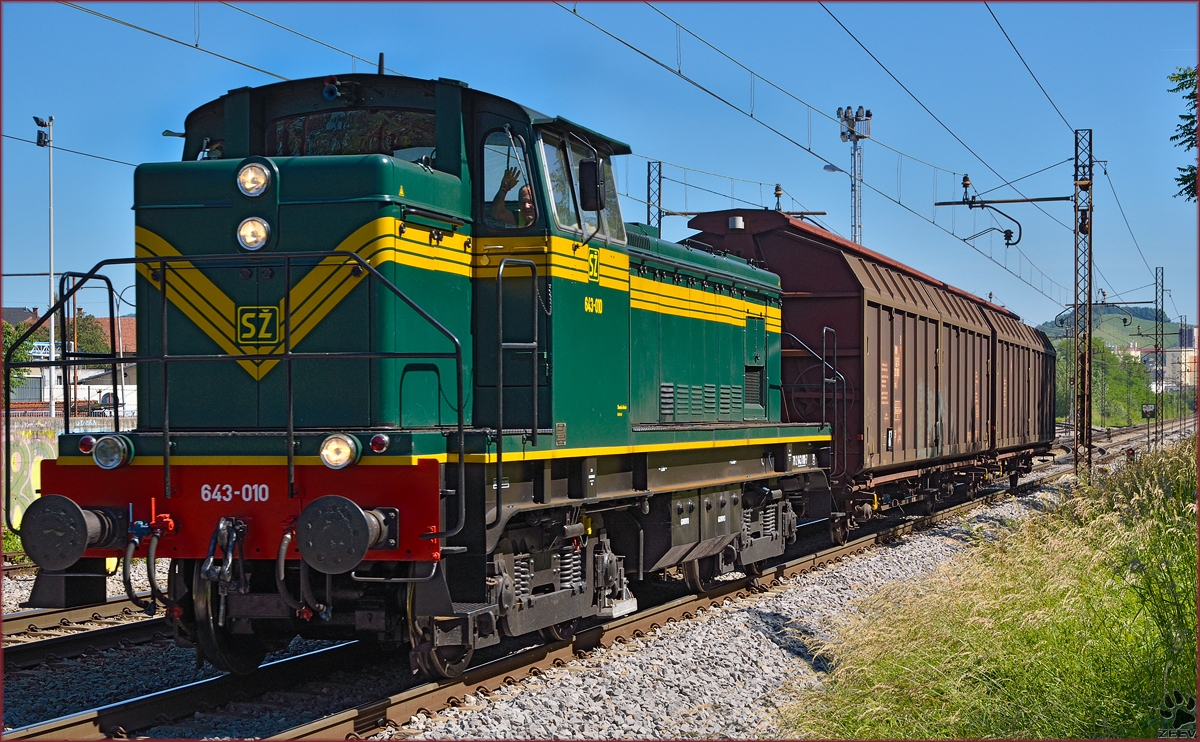 Diesel loc 643-010 pull freight train through Maribor-tabor on the way to Tezno yard. /6.6.2014