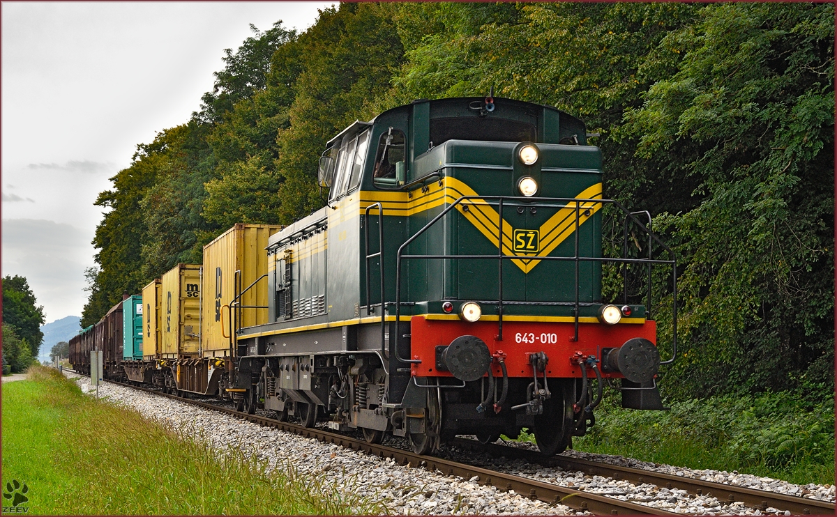 Diesel loc 643-010 pull freight train through Maribor-Studenci on the way to Tezno yard. /26.8.2014