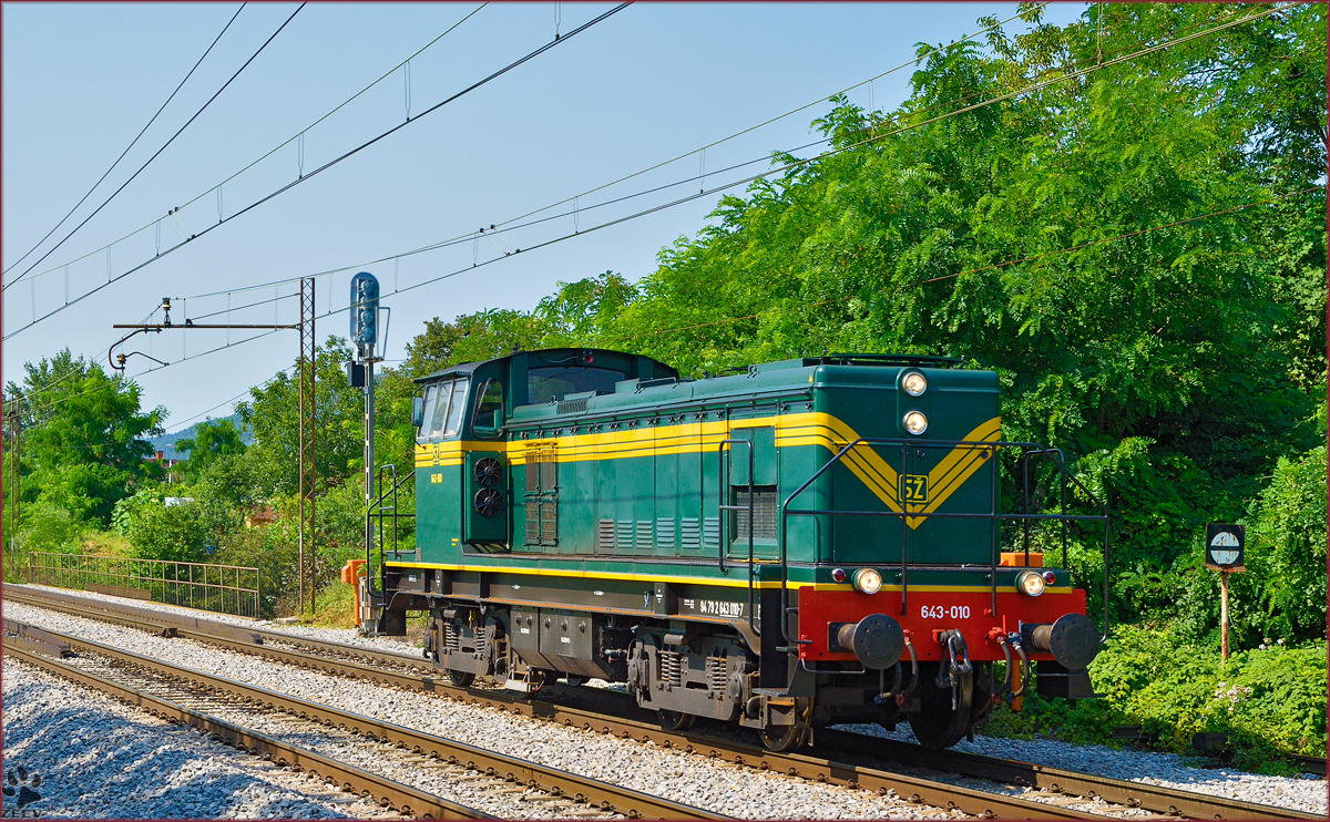 Diesel loc 643-010 run through Maribor-Tabor on the way to Maribor station. /18.7.2014