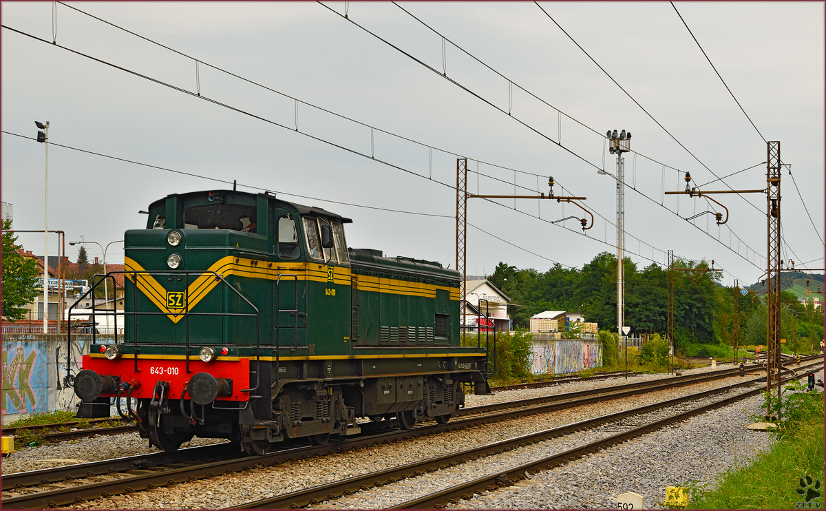 Diesel loc 643-010 run through Maribor-Tabor on the way to Maribor station. /3.9.2014