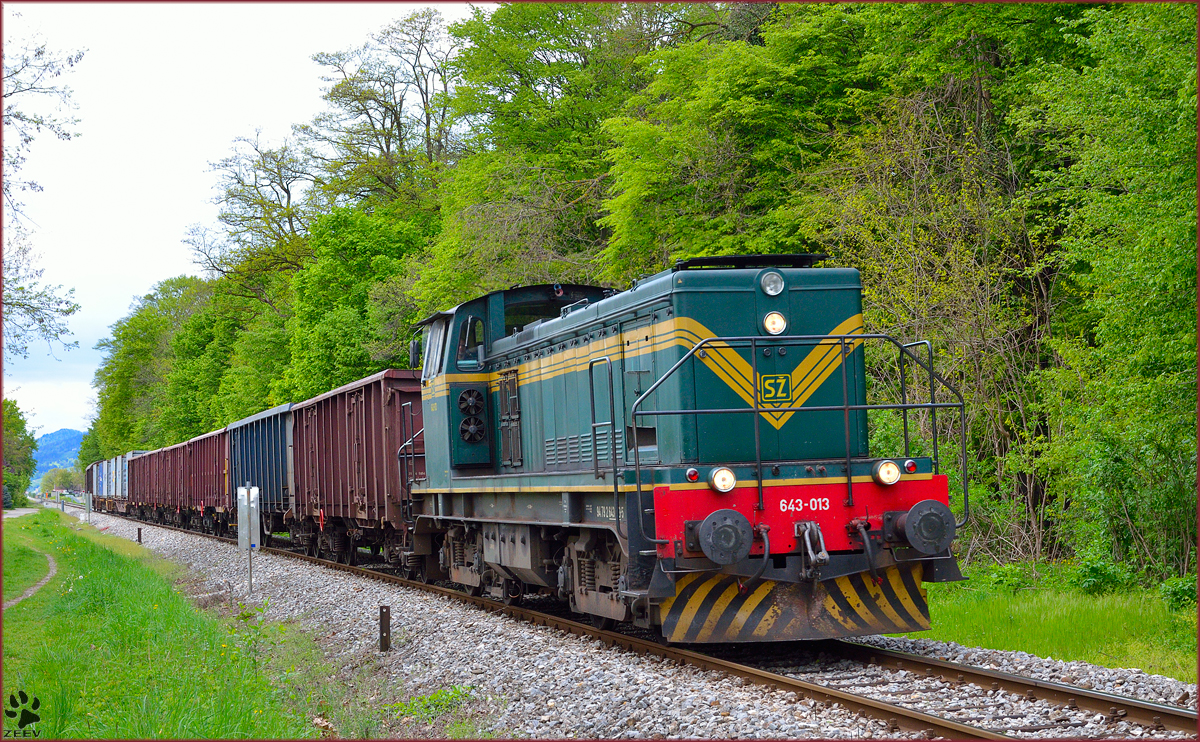 Diesel loc 643-013 pull freight train through Maribor-Studenci on the way to Tezno yard. /15.4.2014