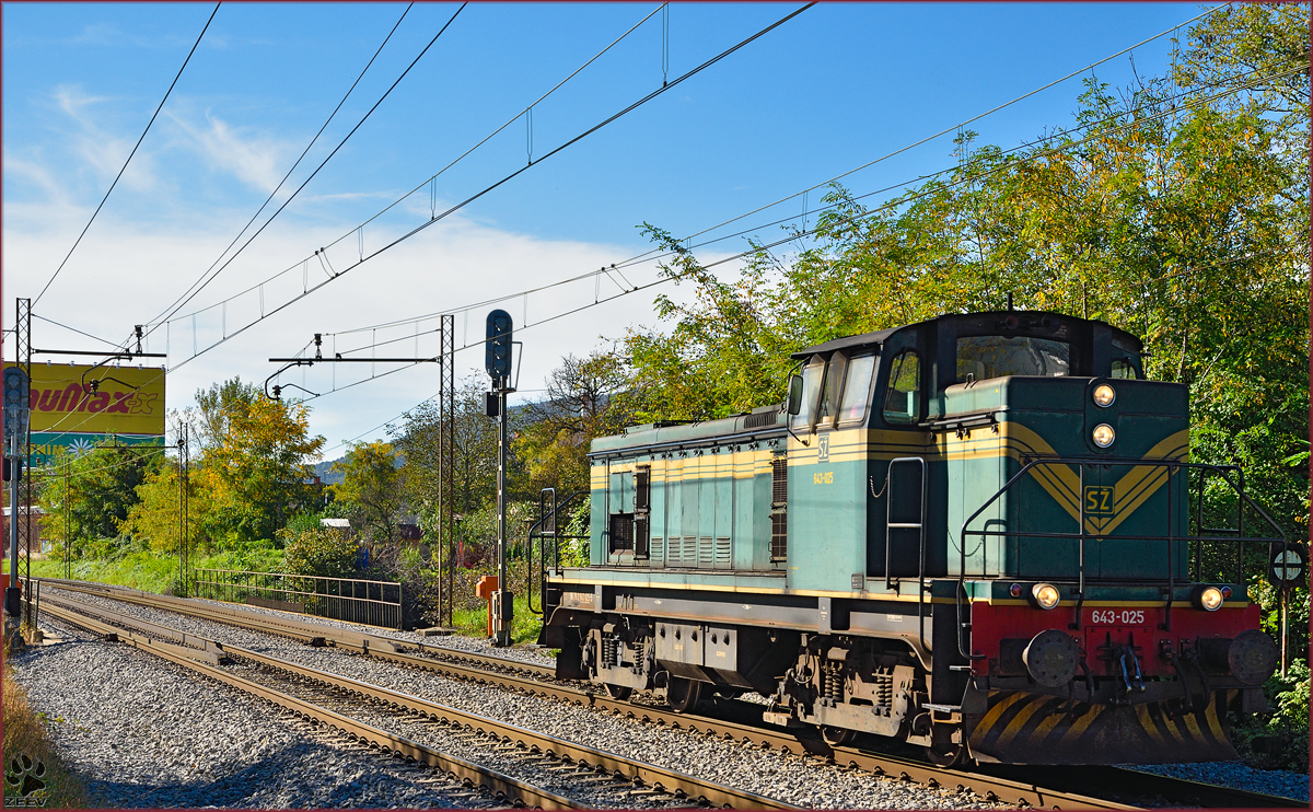 Diesel loc 643-025 run through Maribor-Tabor on the way to Maribor station. /14.10.2014