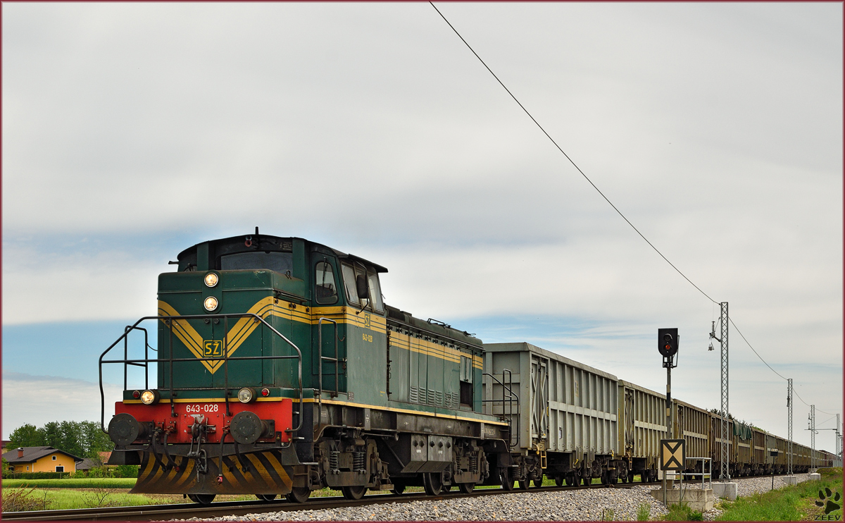 Diesel loc 643-028 pull freight train through Šikole on the way to Pragersko. /4.5.2015