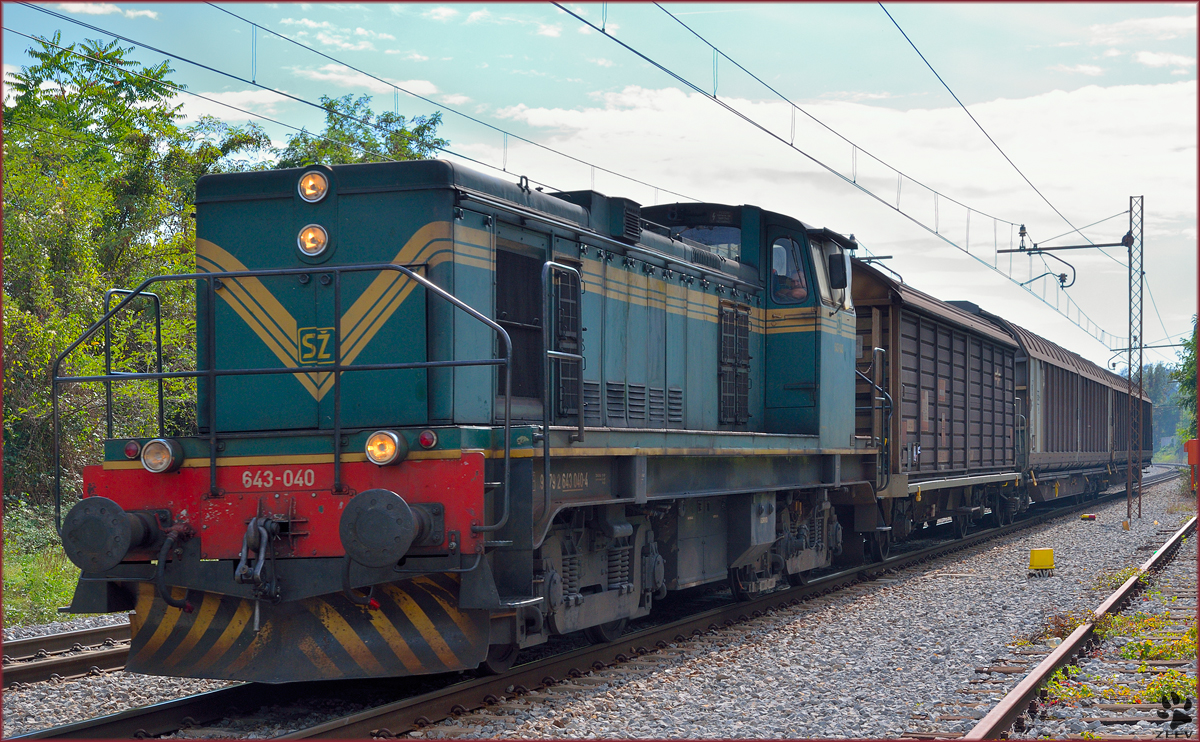 Diesel loc 643-040 pull freight train through Maribor-Tabor on the way to Maribor station. /26.9.2013