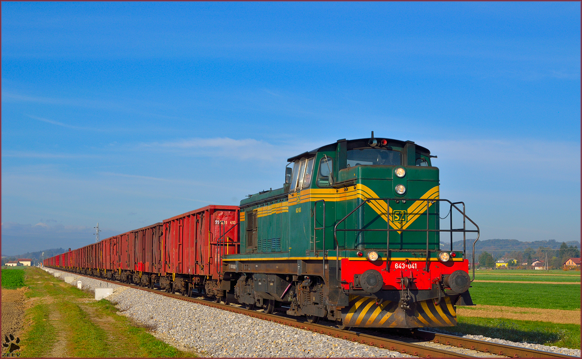 Diesel loc 643-041 pull freight train near Podvinci on the way to Hodo. /25.10.2013