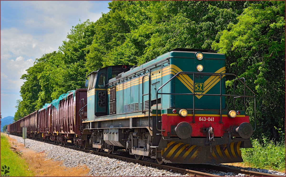 Diesel loc 643-041 pull freight train through Maribor-Studenci on the way to Tezno yard. /4.6.2014