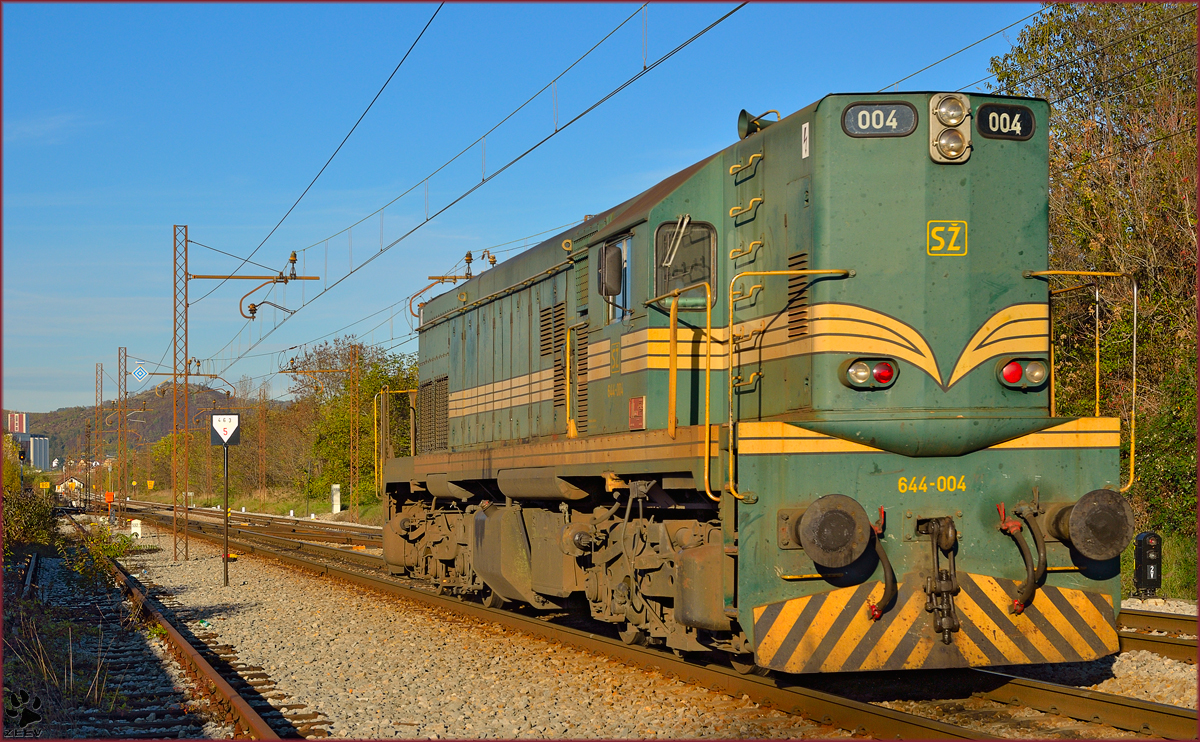 Diesel loc 644-004 is running through Maribor-Tabor on the way to Studenci station. /7.11.2013