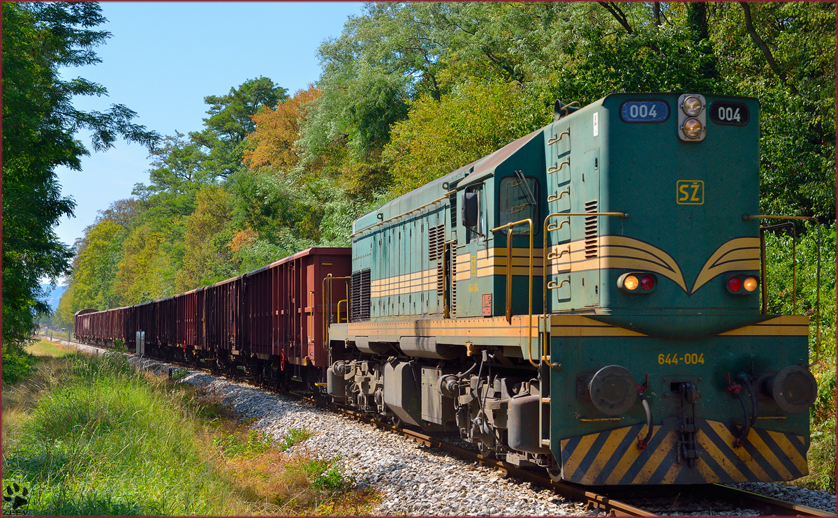 Diesel loc 644-004 pull freight train through Maribor-Studenci on the way to Tezno yard. /19.8.2013