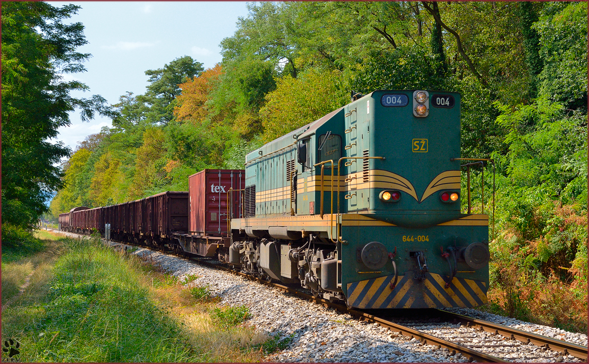 Diesel loc 644-004 pull freight train through Maribor-Studenci on the way to Tezno yard. /22.8.2013