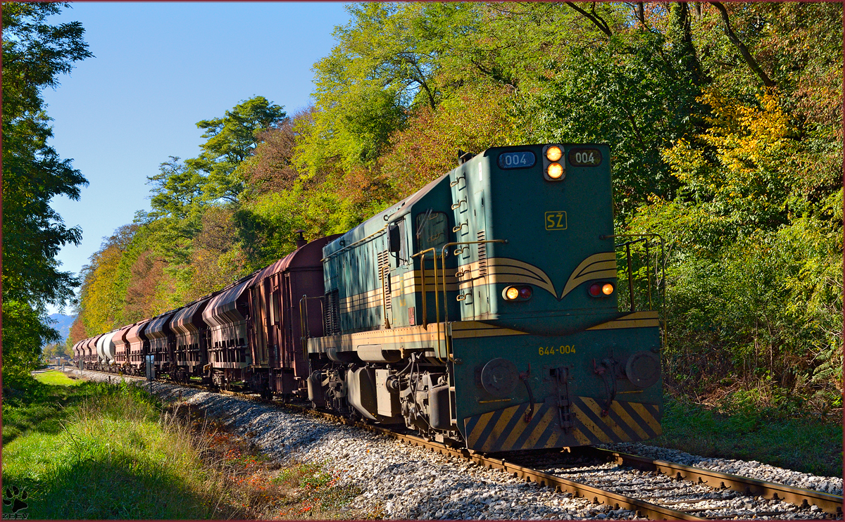 Diesel loc 644-004 pull freight train through Maribor-Studenci on the way to Tezno yard. /17.10.2013