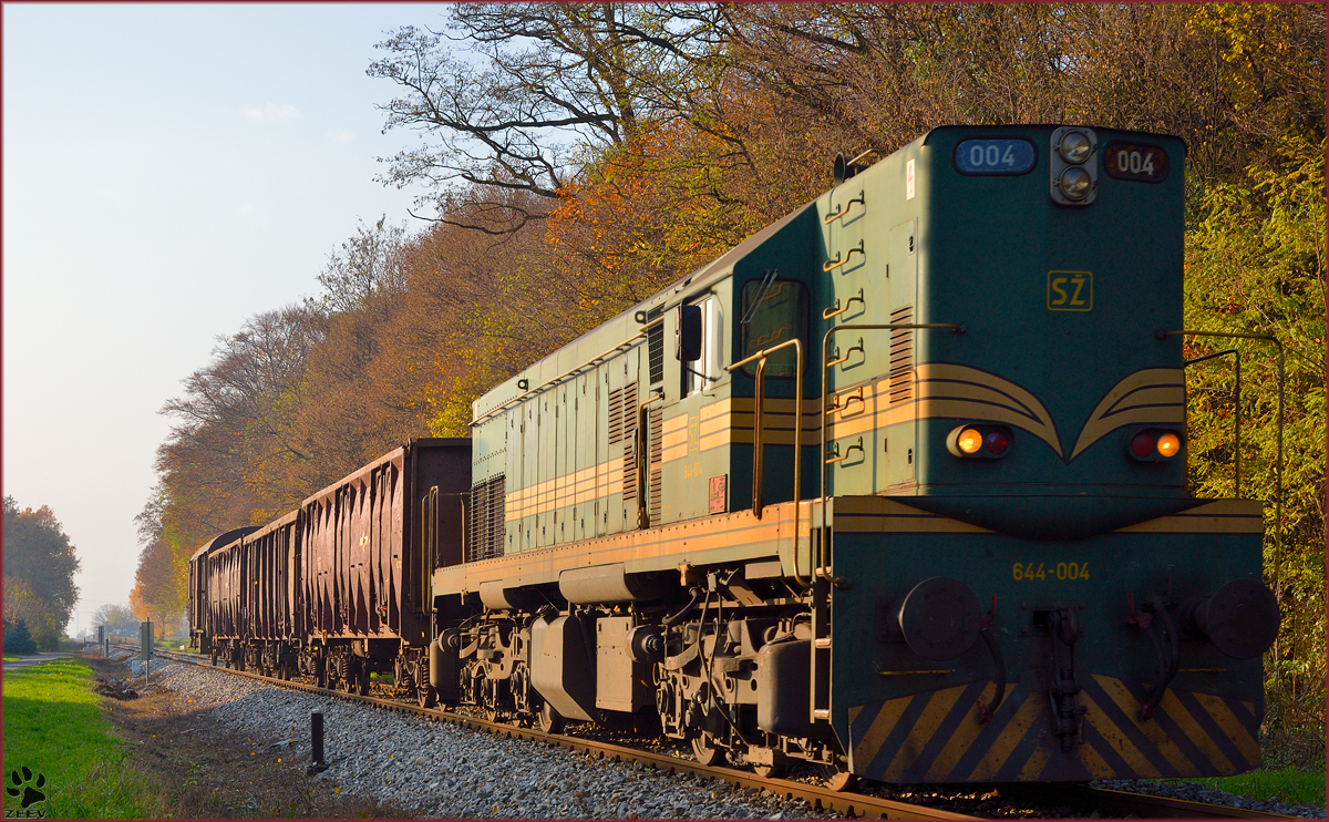 Diesel loc 644-004 pull freight train through Maribor-Studenci on the way to Tezno yard. /18.11.2013