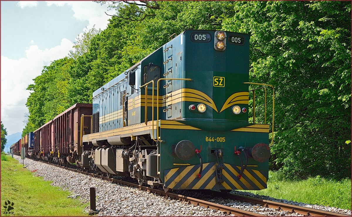 Diesel loc 644-005 pull freight train through Maribor-Studenci on the way to Tezno yard. /30.4.2014