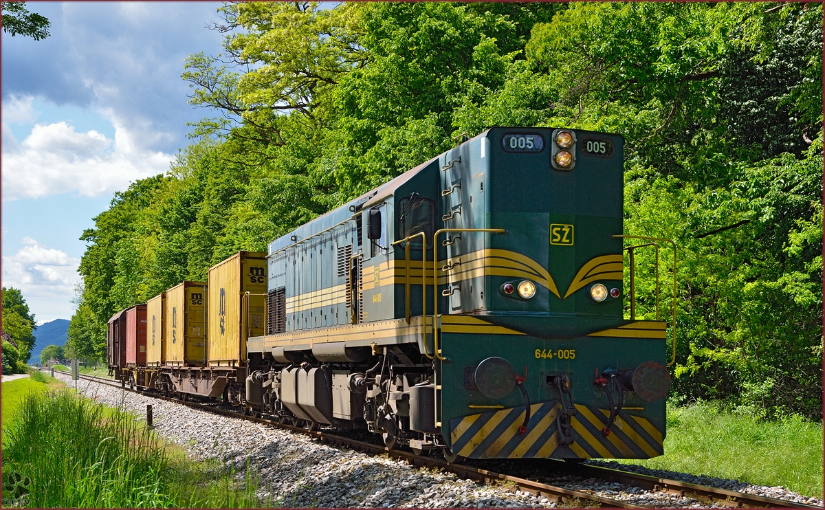 Diesel loc 644-005 pull freight train through Maribor-Studenci on the way to Tezno yard. 8.5.2014