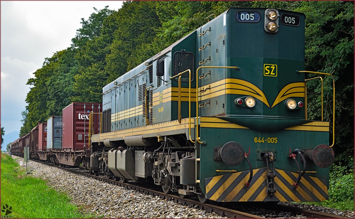 Diesel loc 644-005 pull freight train through Maribor-Studenci on the way to Tezno yard. /31.7.2014