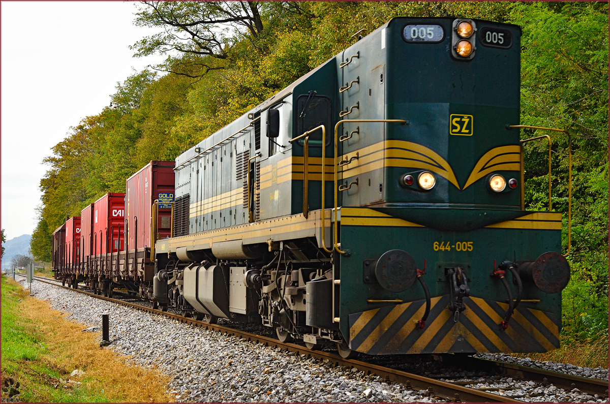 Diesel loc 644-005 pull freight train through Maribor-Studenci on the way to Tezno yard. /15.10.2014