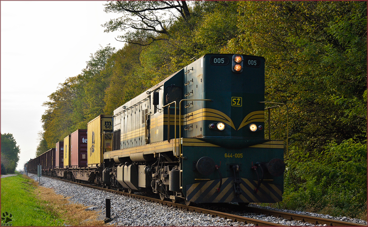 Diesel loc 644-005 pull freight train through Maribor-Studenci on the way to Tezno yard. /29.10.2014