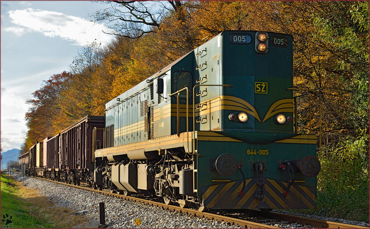 Diesel loc 644-005 pull freight train through Maribor-Studenci on the way to Tezno yard. /10.11.2014