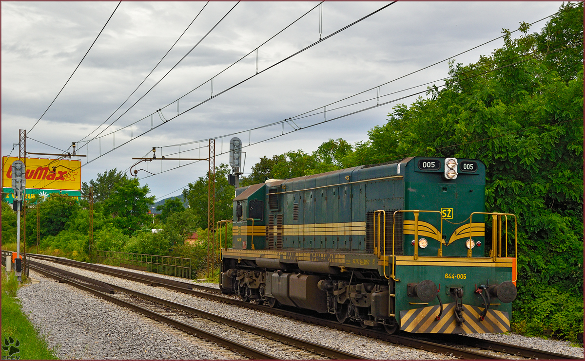 Diesel loc 644-005 run through Maribor-Tabor on the way to Studenci station. /8.7.2014