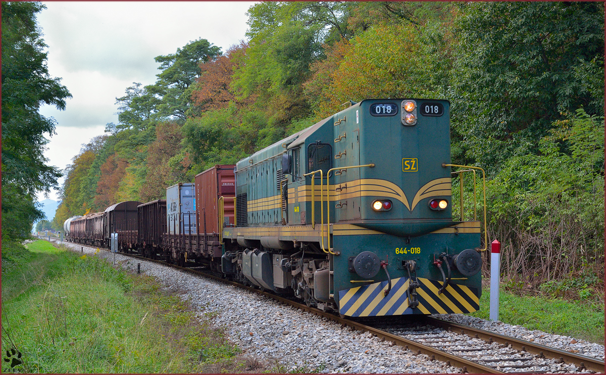 Diesel loc 644-018 pull freight train through Maribor-Studenci on the way to Tezno yard. /1.10.2013