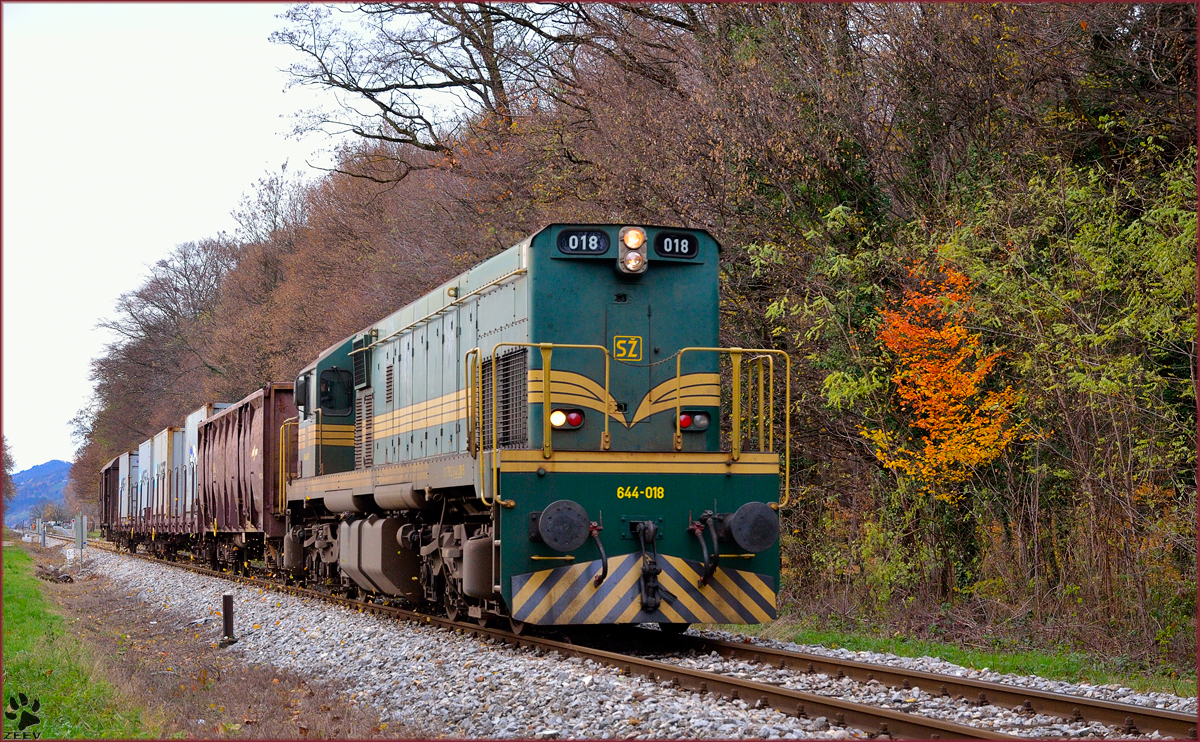 Diesel loc 644-018 pull freight train through Maribor-Studenci on the way to Tezno yard. /25.11.2013