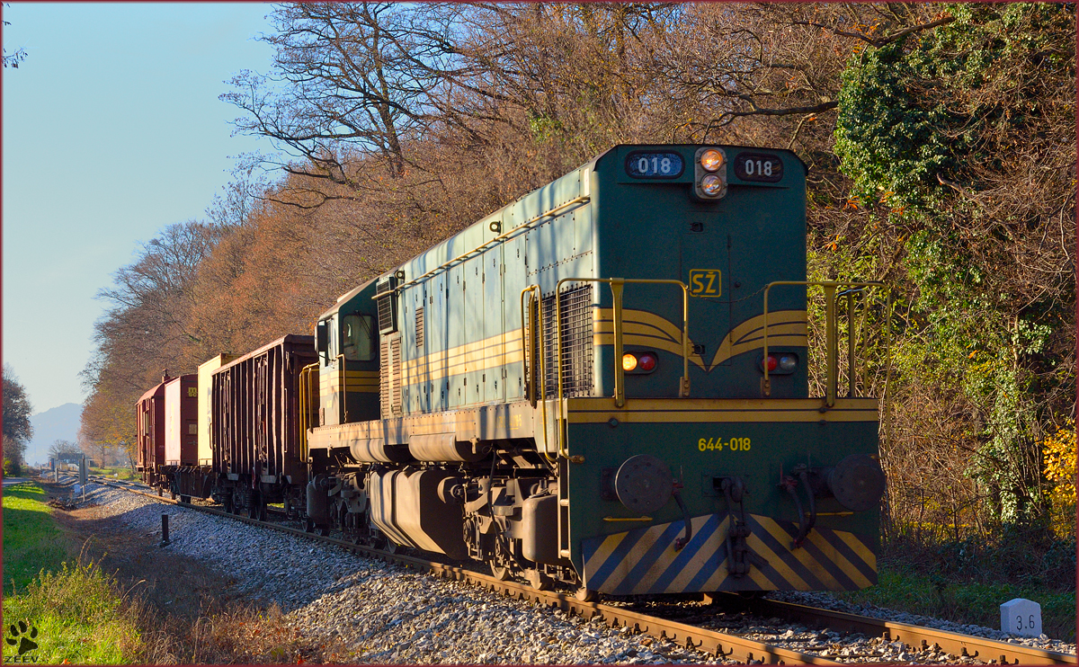 Diesel loc 644-018 pull freight train through Maribor-Studenci on the way to Tezno yard. /28.11.2013