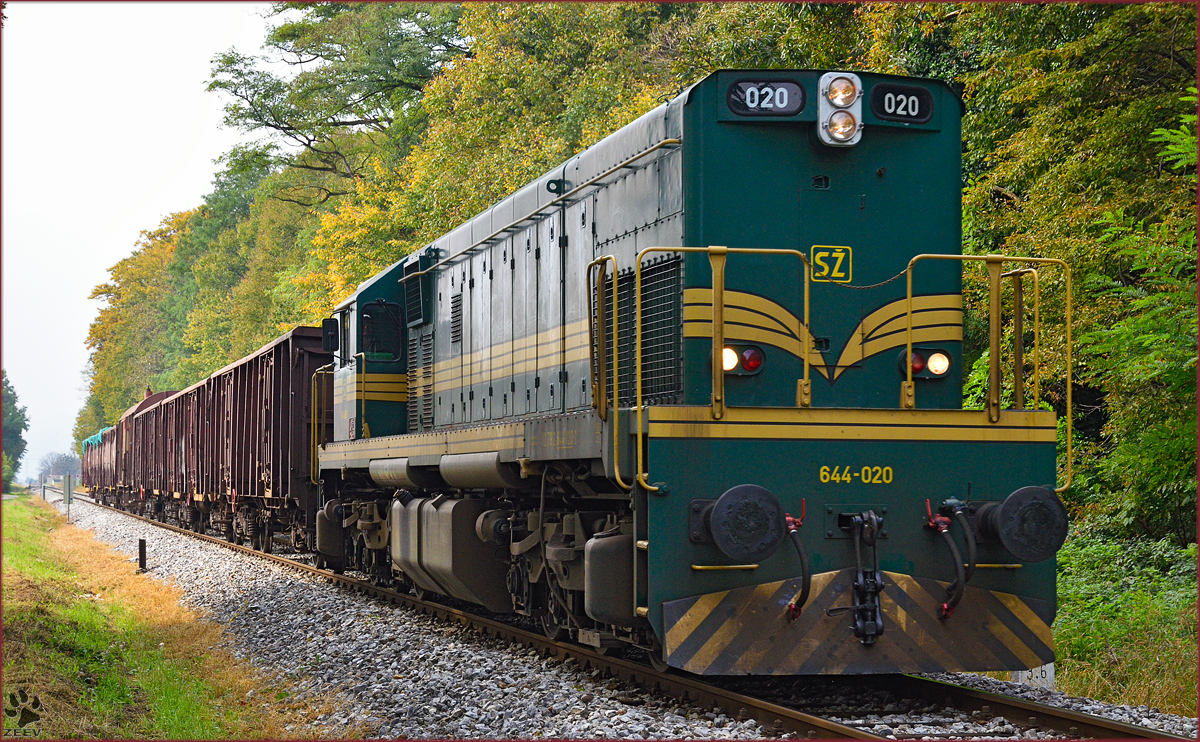 Diesel loc 644-020 pull freight train through Maribor-Tabor on the way to Tezno yard. /6.10.2014