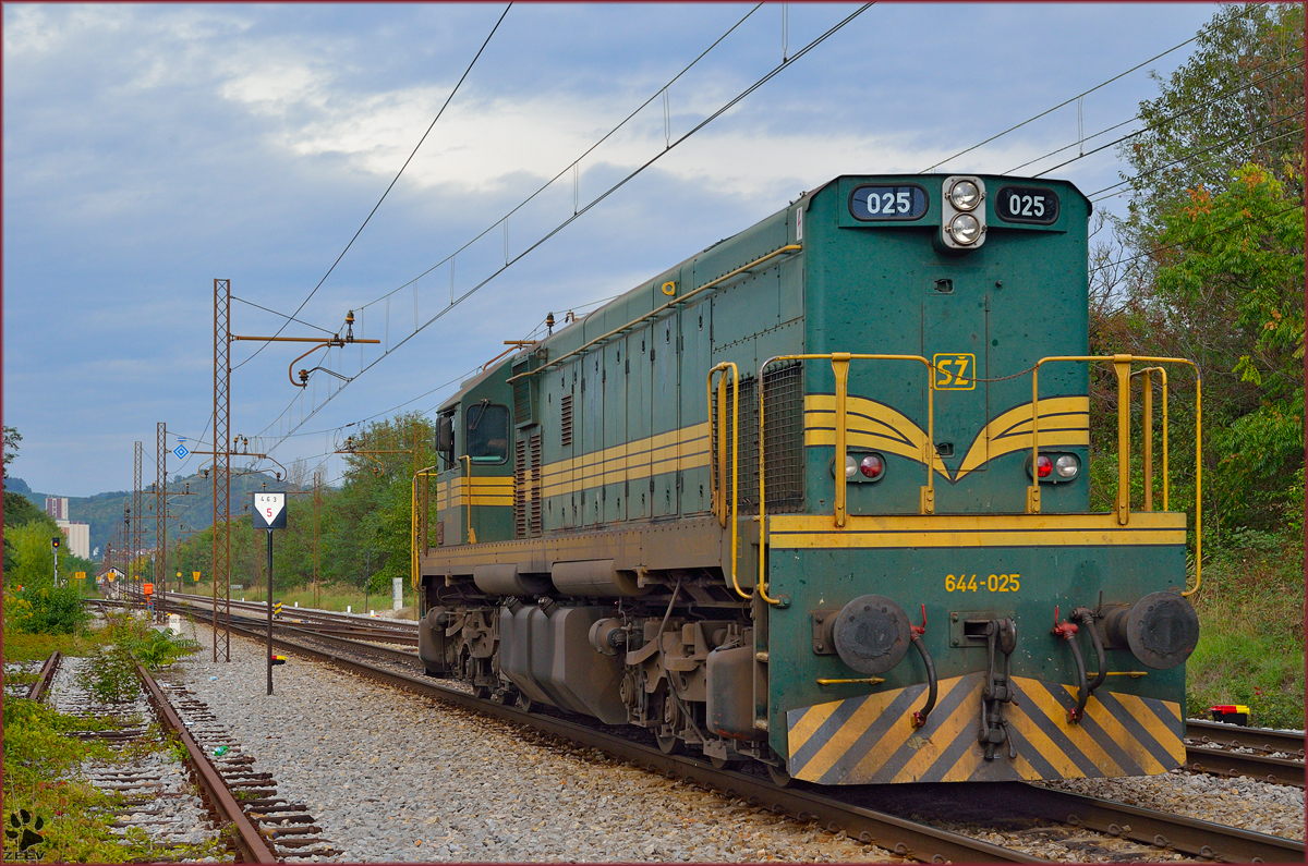 Diesel loc 644-025 is running through Maribor-Tabor on the way to Studenci station. /26.9.2013