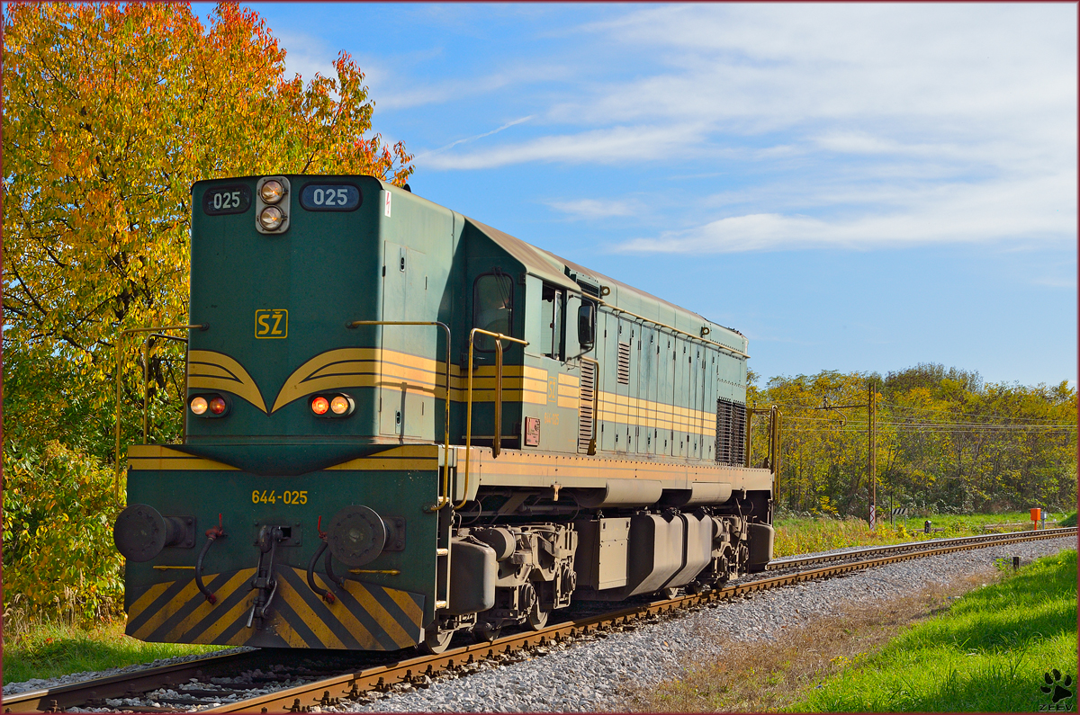 Diesel loc 644-025 is running through Maribor-Tabor on the way to Studenci station. /22.10.2013