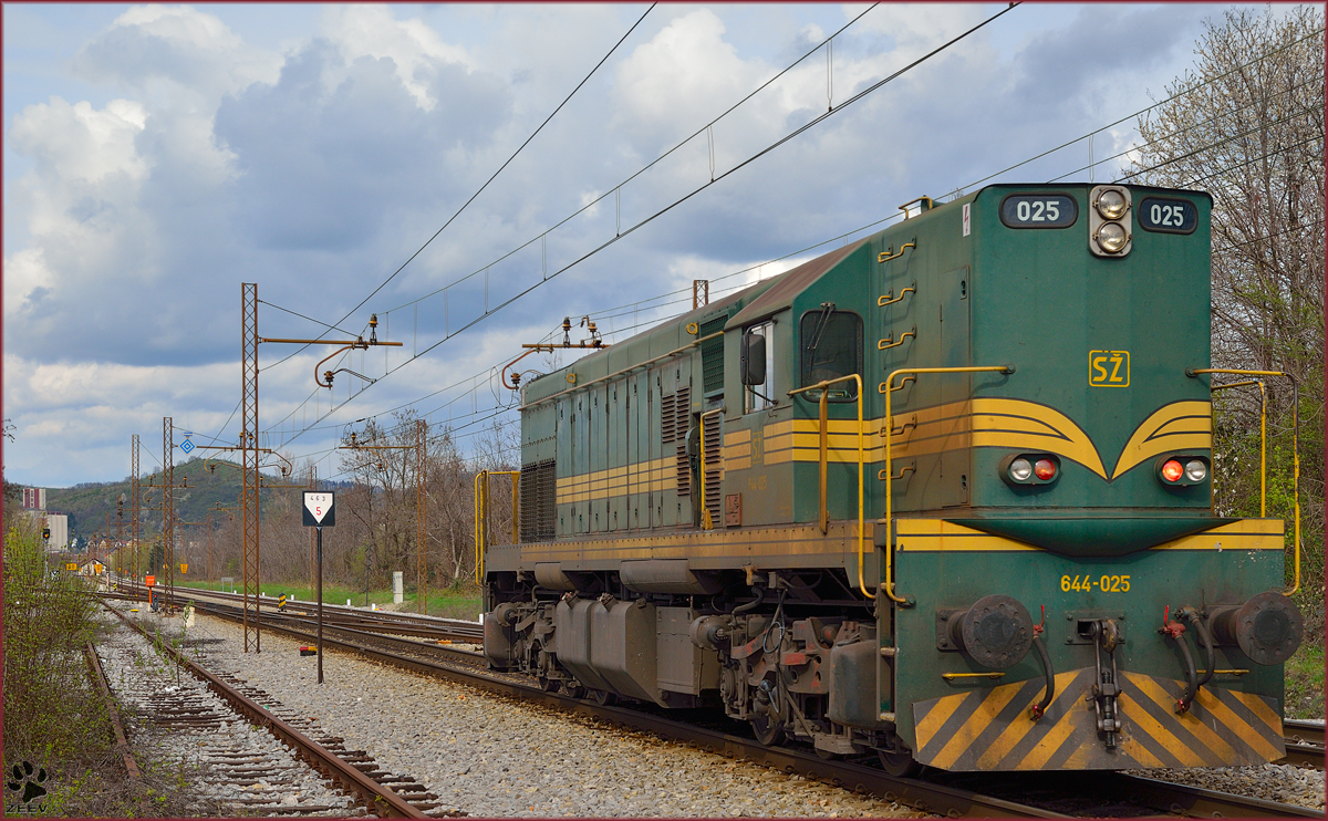 Diesel loc 644-025 is running through Maribor-Tabor on the way to Studenci station. /24.3.2014