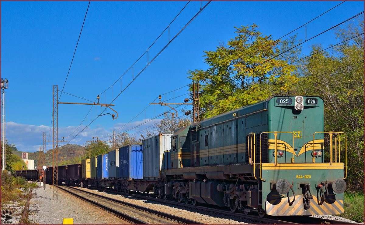 Diesel loc 644-025 pull freight train through Maribor-Tabor on the way to Tezno yard. /18.10.2013