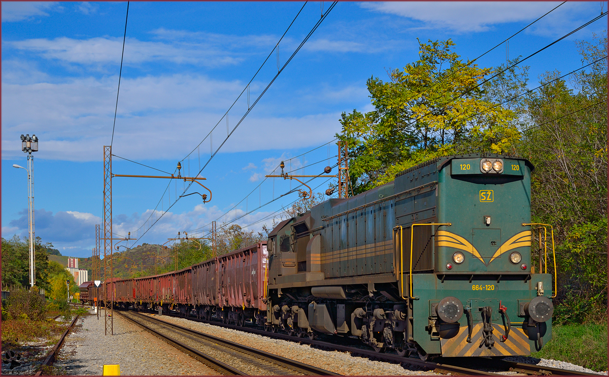 Diesel loc 664-020 pull freight train through Maribor-Tabor on the way to Tezno yard. /16.10.2013