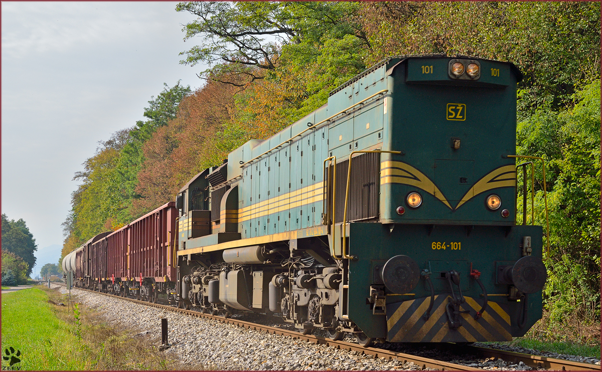 Diesel loc 664-101 pull freight train through Maribor-Studenci on the way to Tezno yard. /7.10.2013 