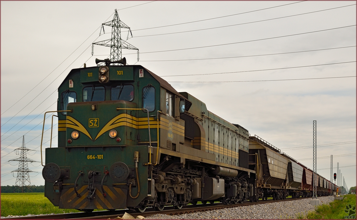 Diesel loc 664-101 pull freight train through Cirkovce on the way to Koper port. /9.5.2014